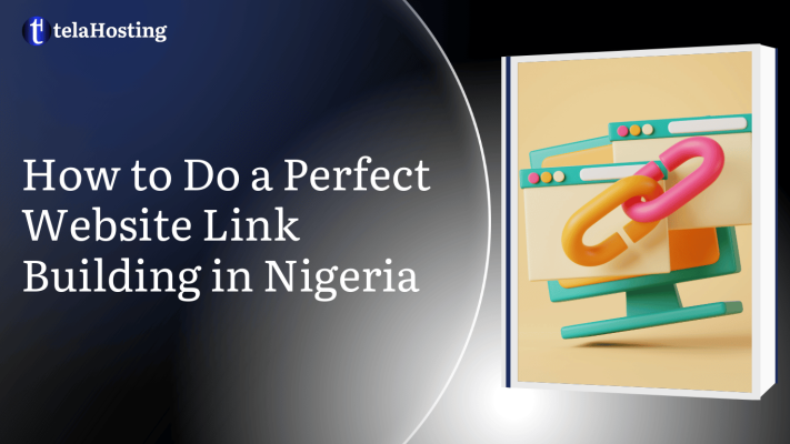 How to Do a Perfect Website Link Building in Nigeria