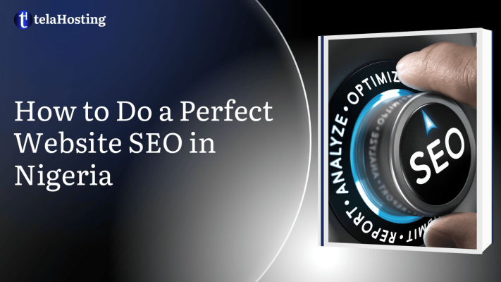 How to Do a Perfect Website SEO in Nigeria